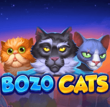 Bozo Cats